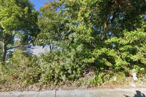 Land in Saint Petersburg, Florida № 2391455