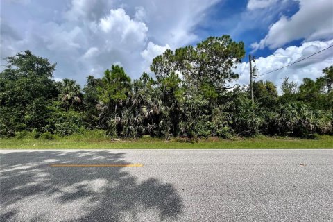 Land in Port Charlotte, Florida № 2159953 - photo 3
