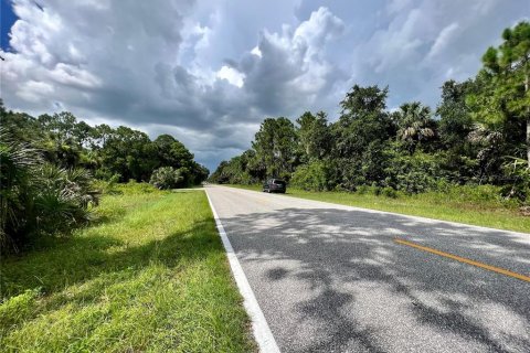 Land in Port Charlotte, Florida № 2159953 - photo 2