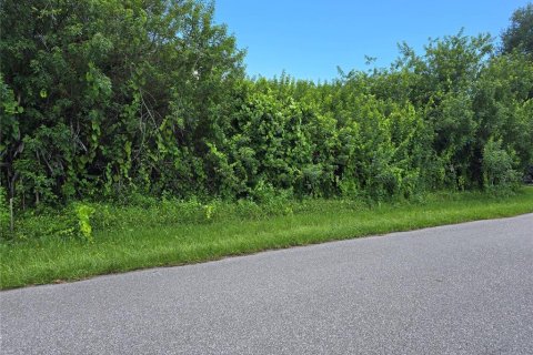 Land in Port Charlotte, Florida № 2164182 - photo 4