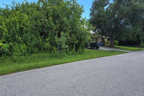 Land in Port Charlotte, Florida № 2164182 - photo 8