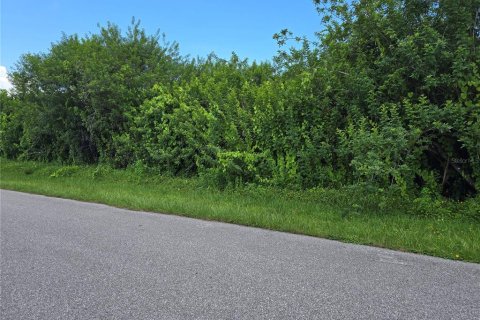 Land in Port Charlotte, Florida № 2164182 - photo 5