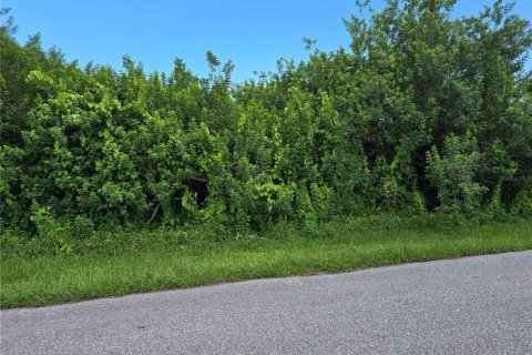 Land in Port Charlotte, Florida № 2164182 - photo 3