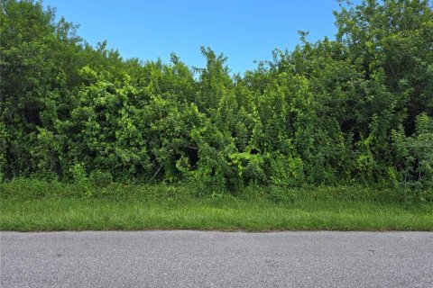 Land in Port Charlotte, Florida № 2164182 - photo 6