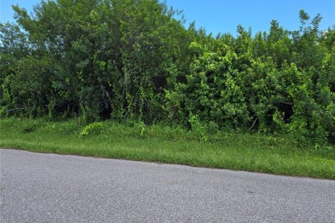 Land in Port Charlotte, Florida № 2164182 - photo 2