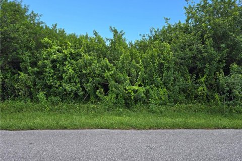 Land in Port Charlotte, Florida № 2164182 - photo 7