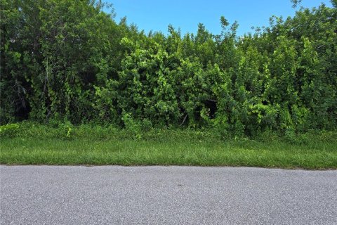 Land in Port Charlotte, Florida № 2164182