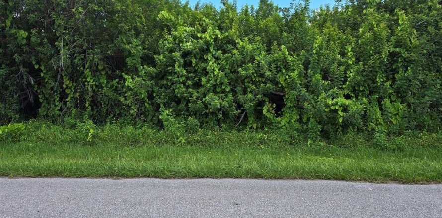 Land in Port Charlotte, Florida № 2164182