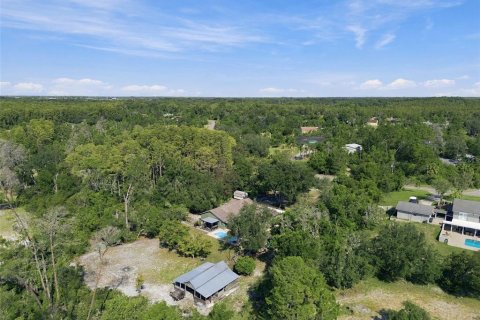 House in New Port Richey, Florida 4 bedrooms, 216.83 sq.m. № 2393914 - photo 5