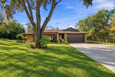 House in New Port Richey, Florida 4 bedrooms, 216.83 sq.m. № 2393914