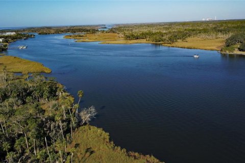 Terreno en venta en Crystal River, Florida № 1414572 - foto 12