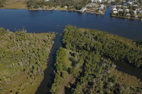 Terreno en venta en Crystal River, Florida № 1414572 - foto 7