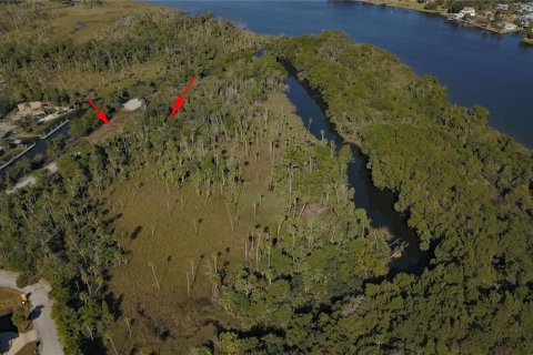 Terreno en venta en Crystal River, Florida № 1414572 - foto 6