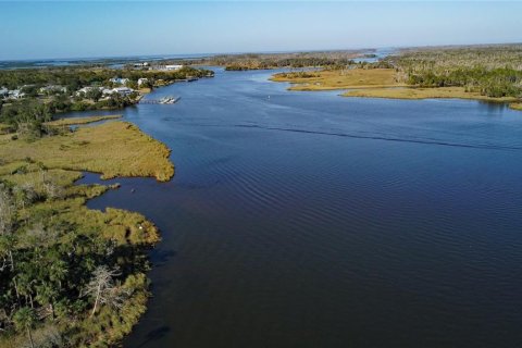 Terreno en venta en Crystal River, Florida № 1414572 - foto 13