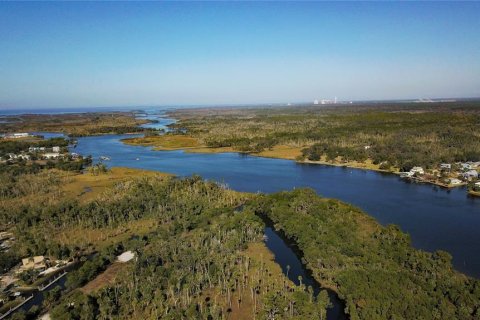 Terreno en venta en Crystal River, Florida № 1414572 - foto 8