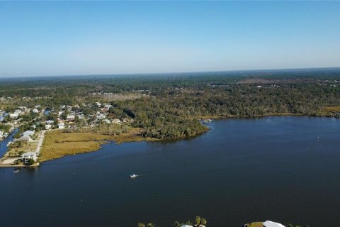 Terreno en venta en Crystal River, Florida № 1414572 - foto 9