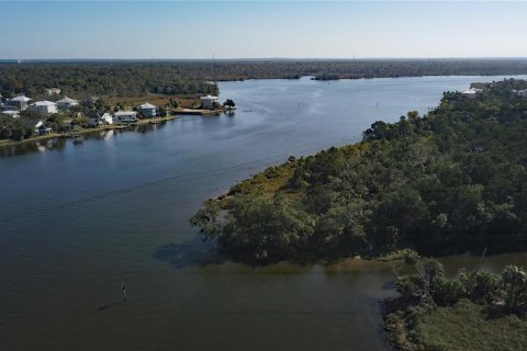 Terreno en venta en Crystal River, Florida № 1414572 - foto 14