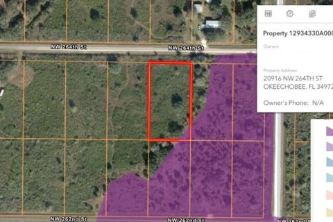 Land in Okeechobee, Florida № 2163848 - photo 5