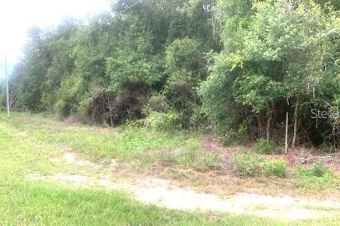 Land in Groveland, Florida № 2329091
