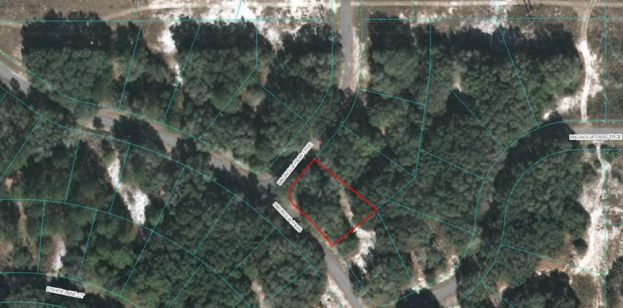 Land in Ocklawaha, Florida № 2212593