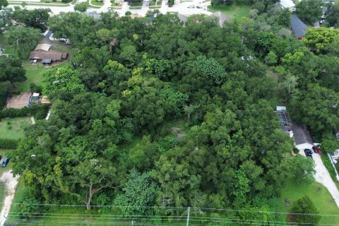 Land in Apopka, Florida № 2275611