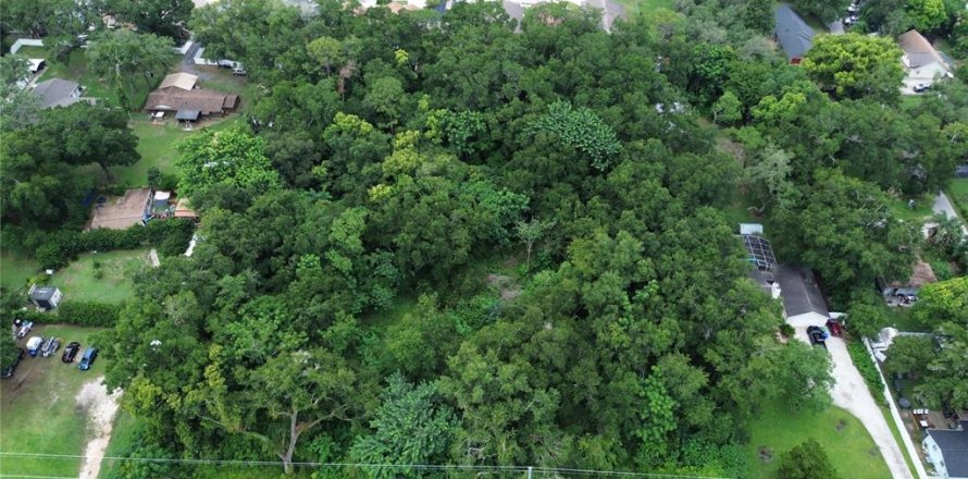 Land in Apopka, Florida № 2275611