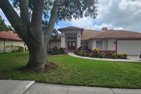 House in Lutz, Florida 4 bedrooms, 246.93 sq.m. № 1778568 - photo 2