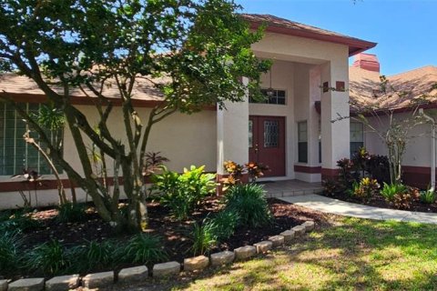 House in Lutz, Florida 4 bedrooms, 246.93 sq.m. № 1778568 - photo 1