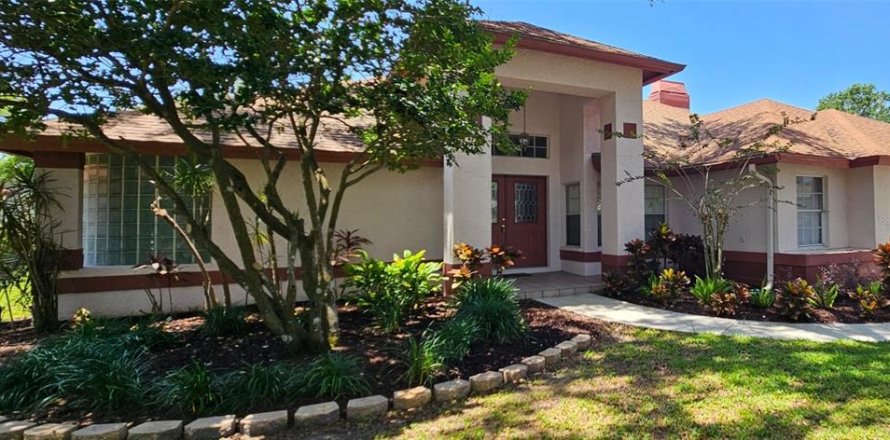 House in Lutz, Florida 4 bedrooms, 246.93 sq.m. № 1778568