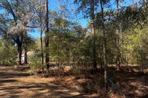 Terrain à Ocala, Floride № 2159245