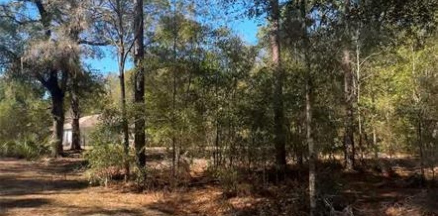 Terrain à Ocala, Floride № 2159245