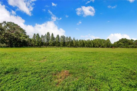 Villa ou maison à vendre à Lakeland, Floride: 3 chambres, 134.52 m2 № 1822642 - photo 12