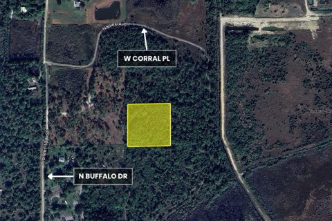 Land in Clewiston, Florida № 1873768 - photo 12
