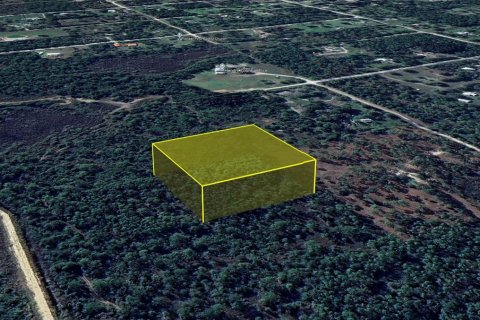 Land in Clewiston, Florida № 1873768 - photo 6