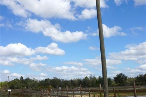 Land in Avon Park, Florida № 1514516 - photo 27