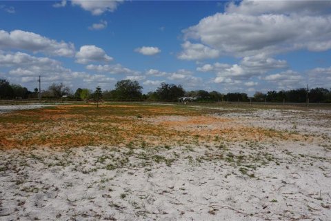 Land in Avon Park, Florida № 1514516 - photo 15