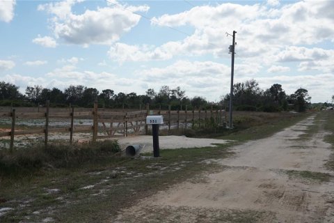 Land in Avon Park, Florida № 1514516 - photo 2