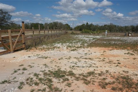 Land in Avon Park, Florida № 1514516 - photo 10