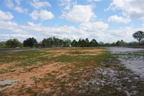 Land in Avon Park, Florida № 1514516 - photo 12
