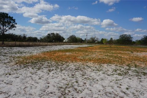 Land in Avon Park, Florida № 1514516 - photo 14