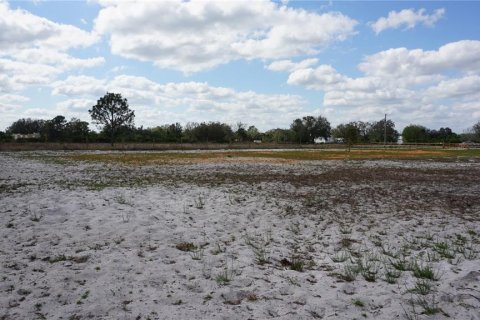 Land in Avon Park, Florida № 1514516 - photo 13