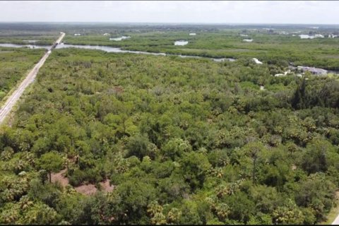 Land in Punta Gorda, Florida № 1833461 - photo 8