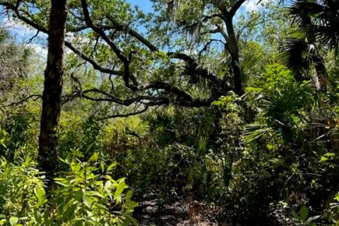 Land in Punta Gorda, Florida № 1833461 - photo 3