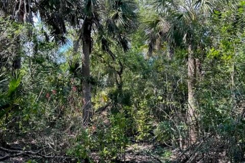 Land in Punta Gorda, Florida № 1833461 - photo 5