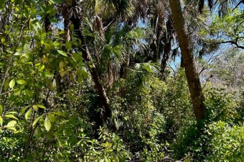 Land in Punta Gorda, Florida № 1833461 - photo 6