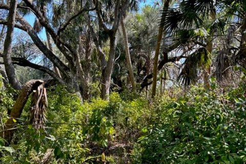 Land in Punta Gorda, Florida № 1833461 - photo 4