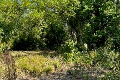 Land in Punta Gorda, Florida № 1833461 - photo 2