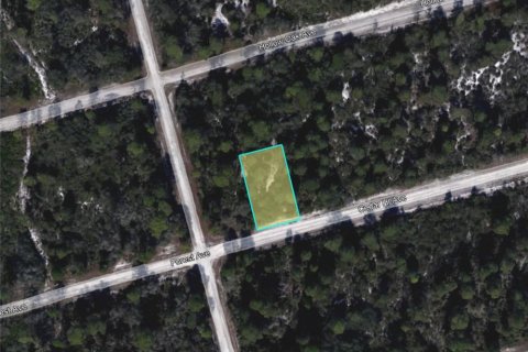 Terrain à vendre à Lake Placid, Floride № 2213864 - photo 6