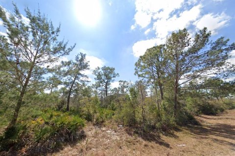 Land in Lake Placid, Florida № 2213864
