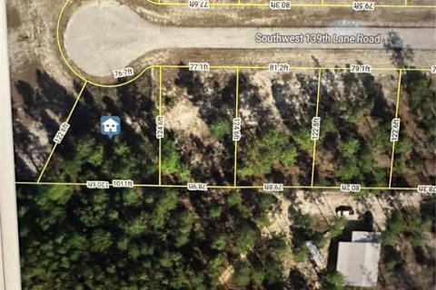 Land in Dunnellon, Florida № 2216660 - photo 4